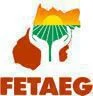 FETAEG