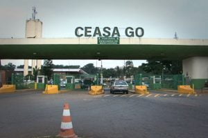 CEASA-GOIAS