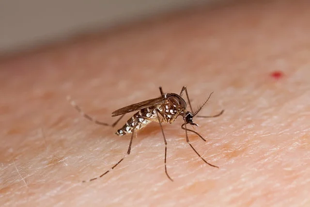 Biomédica grávida morre em Goiânia; suspeita de Dengue