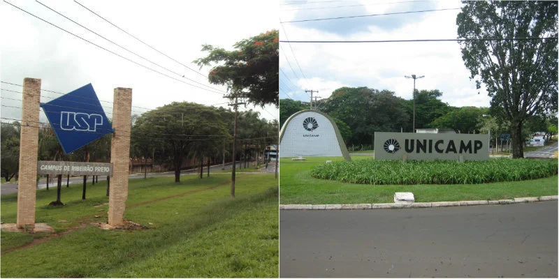 USP e Unicamp lançam cursos a distância gratuitos