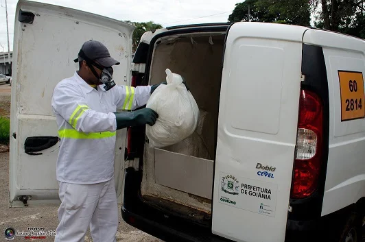 Comurg realiza coleta de animais mortos