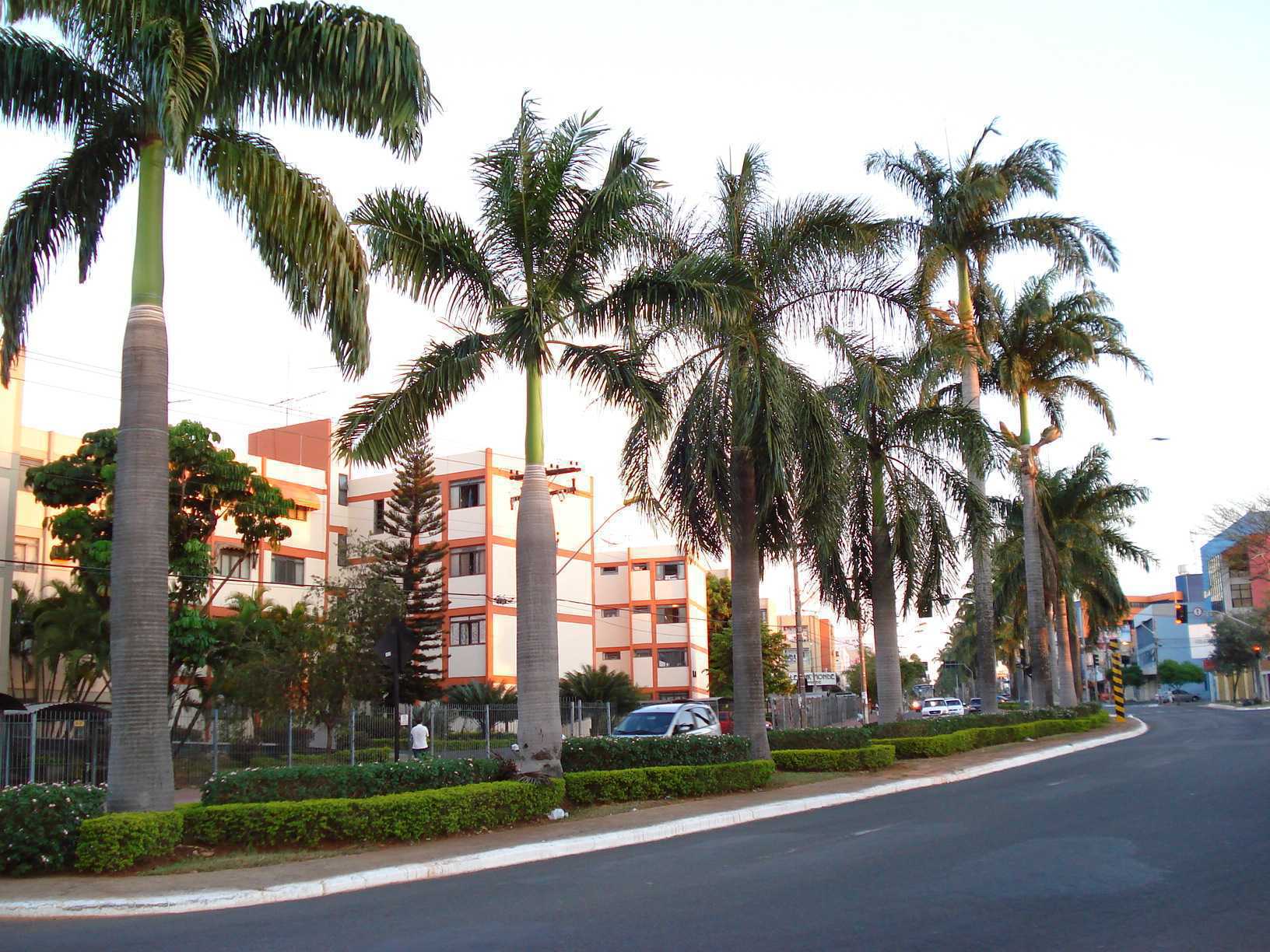 Excesso de velocidade gera multas na Avenida 85