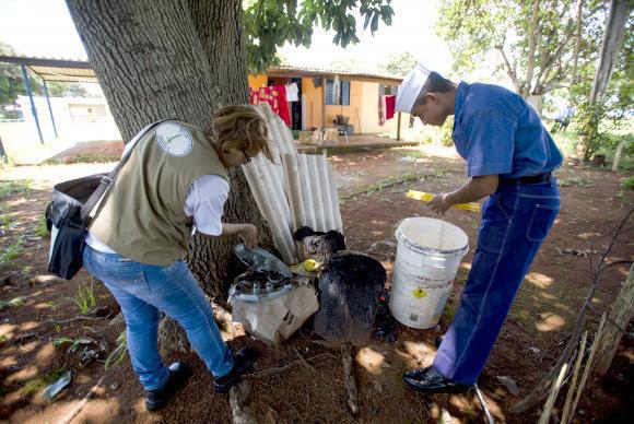 DIA NACIONAL DA MOBILIZACAO CONTRA AEDES EBC