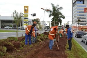 ciclovia t 63