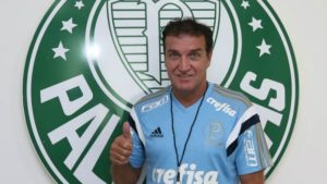 foto cuca palmeiras