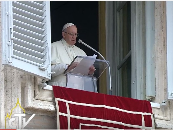 papa francisco 28022016