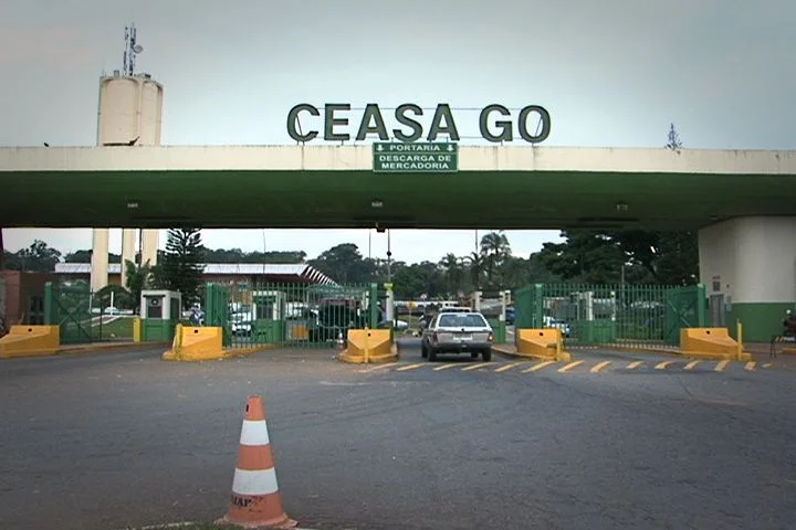 ceasa goias