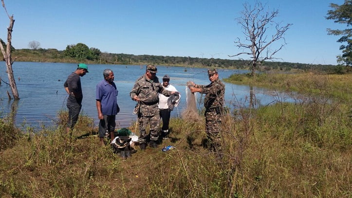 comando ambiental feriado