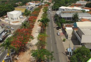 brt goiania