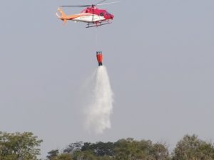 OPERACAO CERRADO VIVO 2015