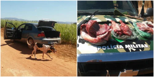 PRESOS HOMENS POR MAUS TRATOS E CRIME AMBIENTAL FOTO PMGO