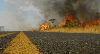 Sem chuvas, mês de setembro é o mais preocupante nas queimadas do Cerrado, avalia especialista da UFG