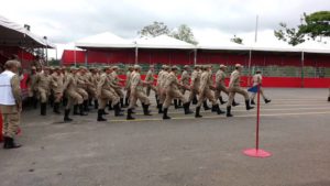 bombeiros de goias