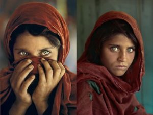 600full sharbat gula