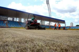 gramado estadio olimpico