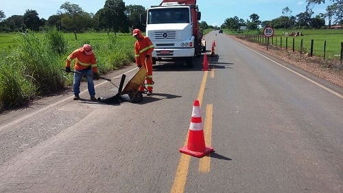 go 154 santa terezinha de goias pilar de goias