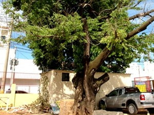 Goiânia cidade sem memória