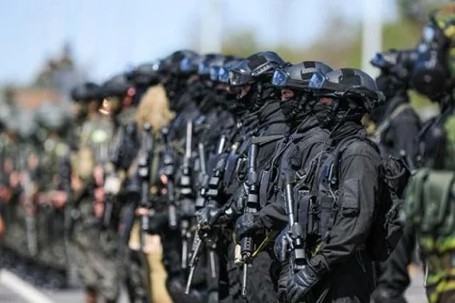 exercito brasileiro