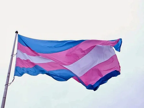 bandeira trans