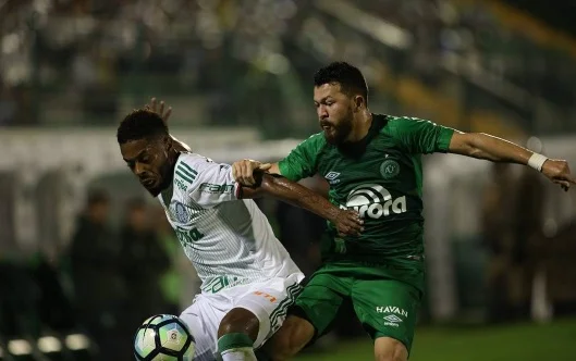 chapecoense x palmeiras