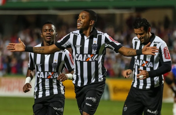 galo libertadores