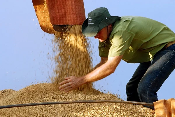 produtividade campo