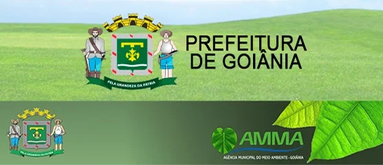 amma concurso