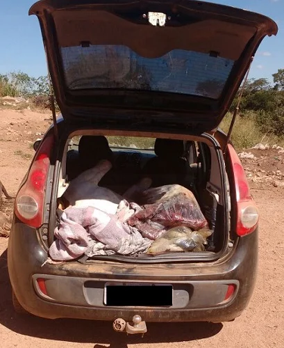 carne dentro de carro pires do rio