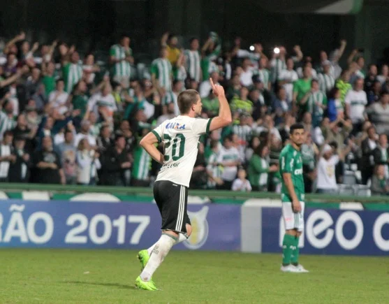 coxa e palmeiras