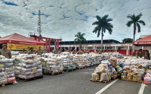 goias solidario 10