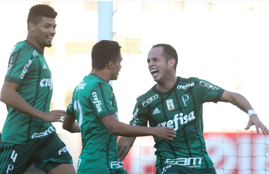 palmeiras e ponte