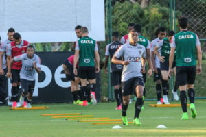 treino do galo