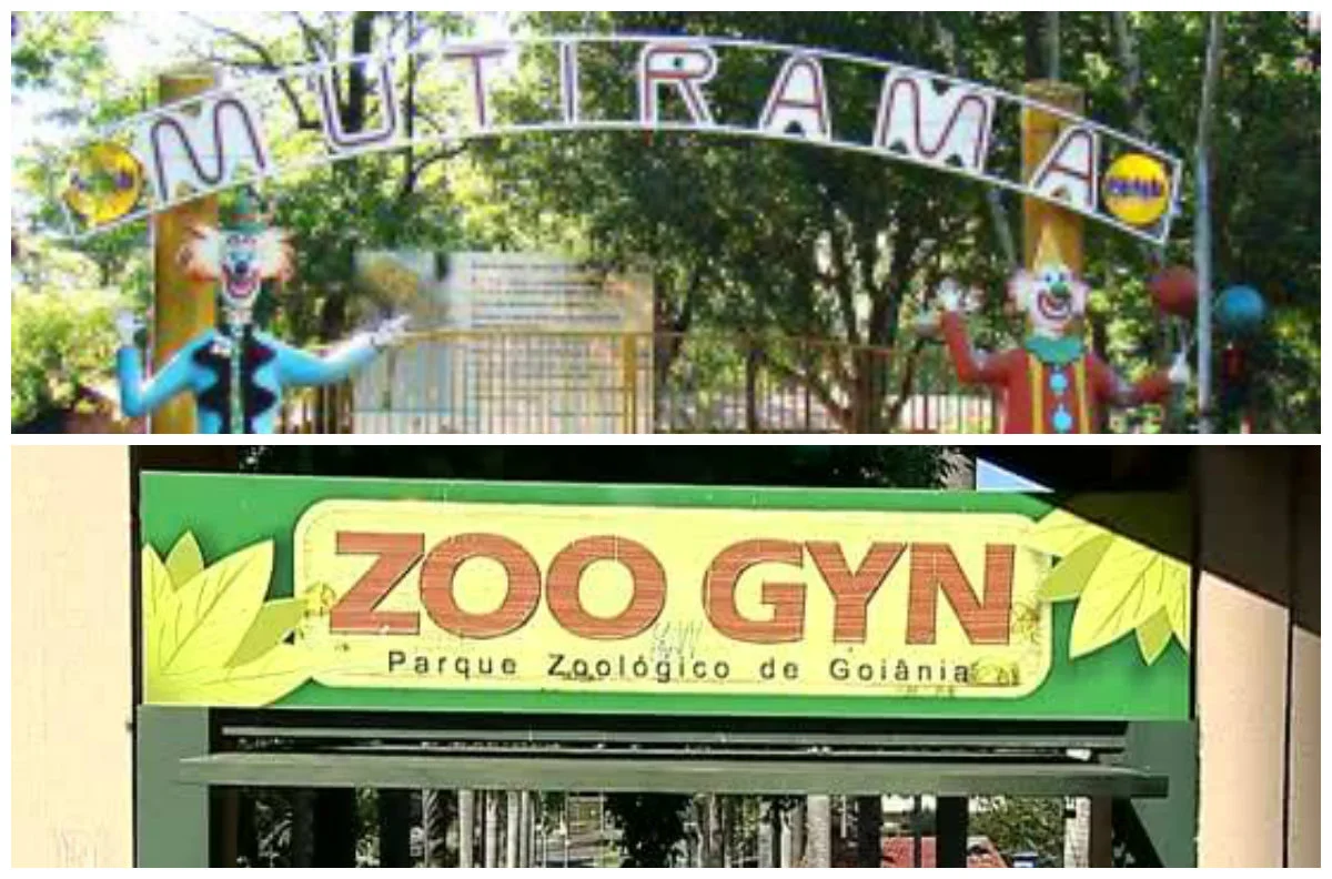 zoo e mutirama