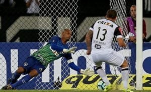 botafogo e galo