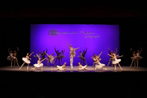 festival internacional de danca