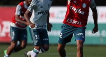 Para evitar crise, Palmeiras precisa vencer Avaí, o terror dos líderes