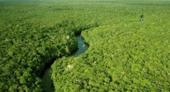 Natura e Fundação Banco do Brasil vão capacitar cooperativas da Amazônia