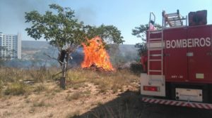 incendio vegetacao caldas novas