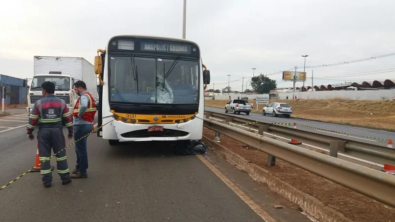 onibus atropela e mata na br153