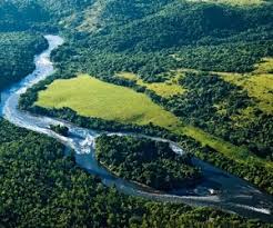 reserva nacional do cobre e associados