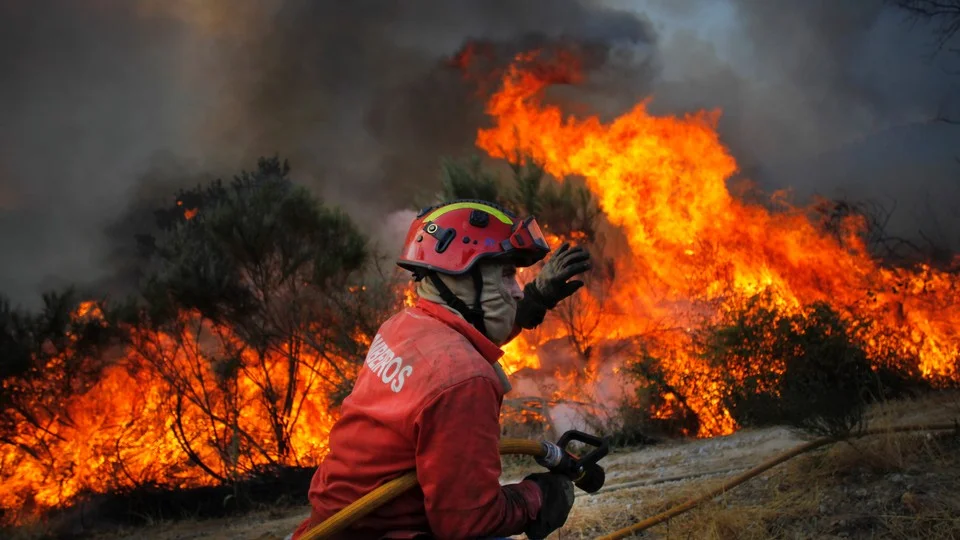 bombeiros incendio floresta