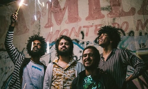 boogarins