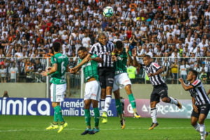 galo e palmeiras