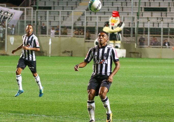 galo e parana