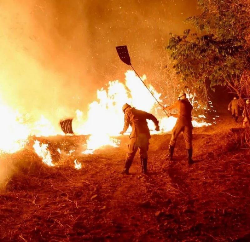 incendio parque ecologico goiania