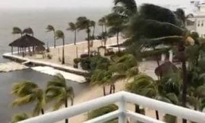 irma sul da florida