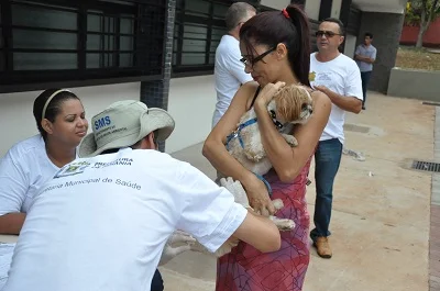 vacinacao de caes e gatos contra raiva