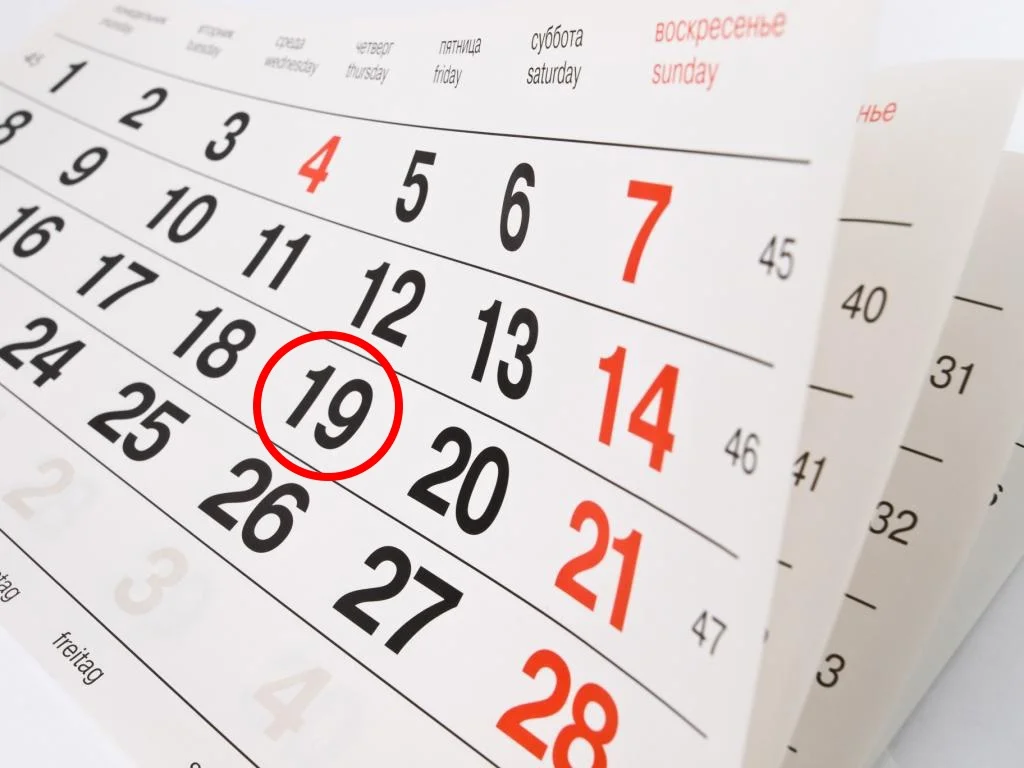 calendario dia 19