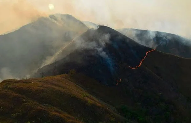 incendio na chapada dos veadeiros