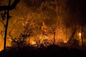 incendio chapada dos veadeiros